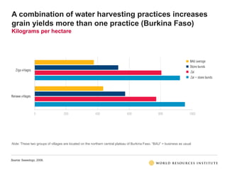 A combination of water harvesting practices increases
grain yields more than one practice (Burkina Faso)
Kilograms per hec...