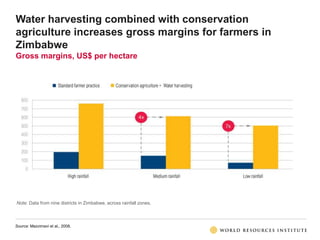Source: Mazvimavi et al., 2008.
Water harvesting combined with conservation
agriculture increases gross margins for farmer...