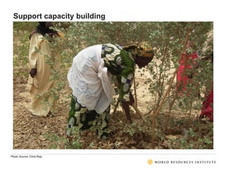 Support capacity building
Photo Source: Chris Reij.
 