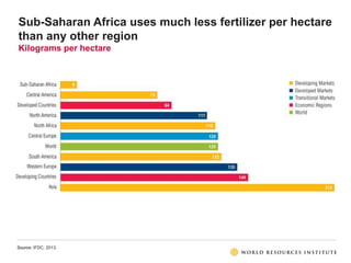Sub-Saharan Africa uses much less fertilizer per hectare
than any other region
Kilograms per hectare
Source: IFDC, 2013.
 