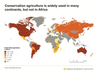 Conservation agriculture is widely used in many
continents, but not in Africa
Source: Shitumbanuma, 2012.
 