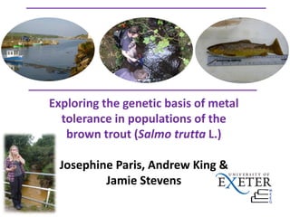 Exploring the genetic basis of metal
tolerance in populations of the
brown trout (Salmo trutta L.)
Josephine Paris, Andrew King &
Jamie Stevens
 