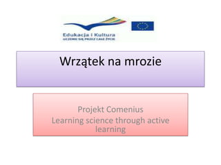 Wrzątek na mrozie


       Projekt Comenius
Learning science through active
            learning
 