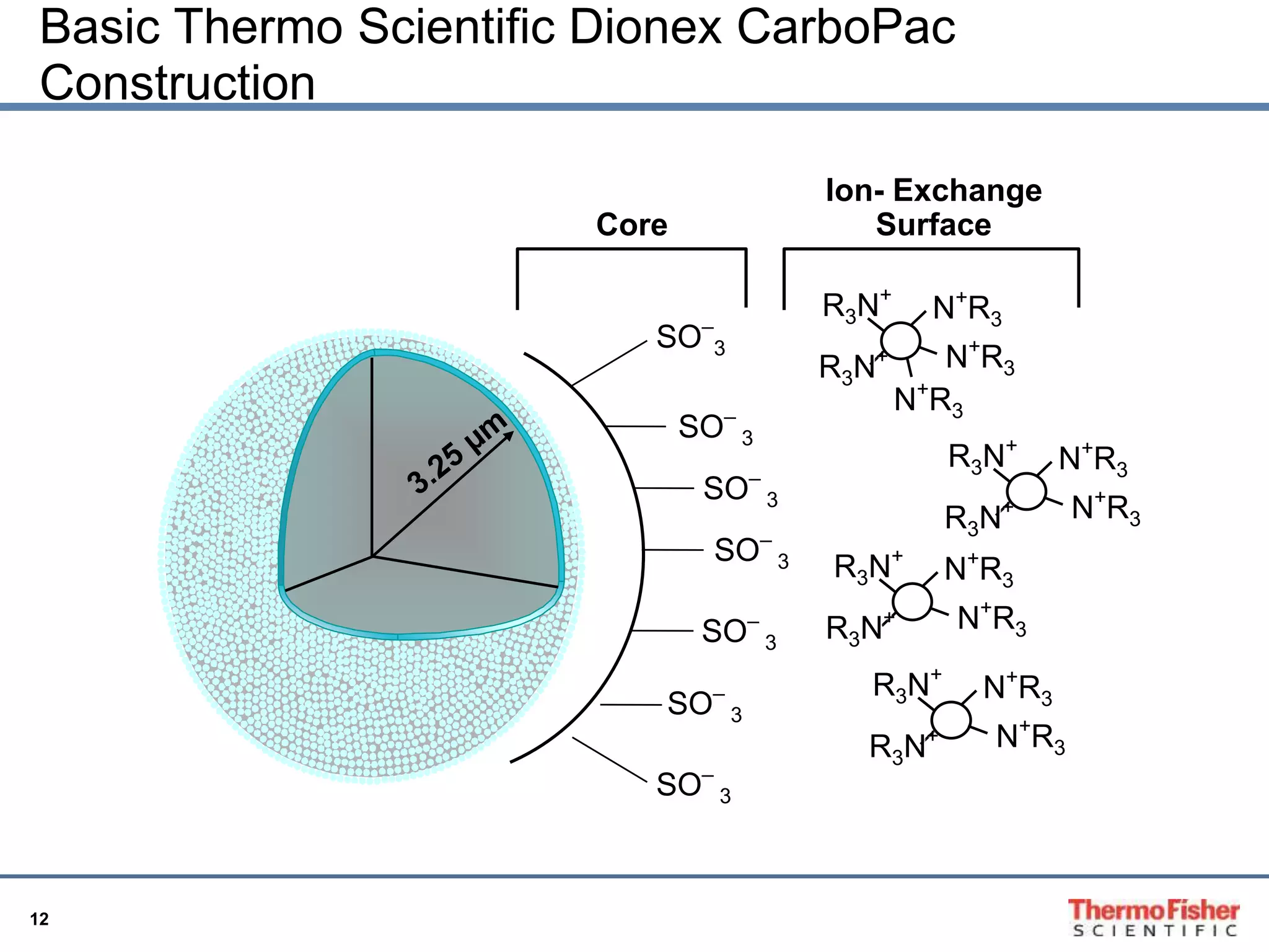 Basic Thermo Scientific Dionex CarboPac 
Construction 
12 
SO– 
SO– 
SO– 
SO– 
3 
3 
3 
3 
SO– 
3 
SO– 
3 
SO– 
3 
Core 
Ion- Exchange 
Surface 
R3N+ 
R3N+ 
N+R3 
N+R3 
N+R3 
R3N+ 
R3N+ 
N+R3 
N+R3 
R3N+ 
R3N+ 
N+R3 
N+R3 
R3N+ 
R3N+ 
N+R3 
N+R3 
 