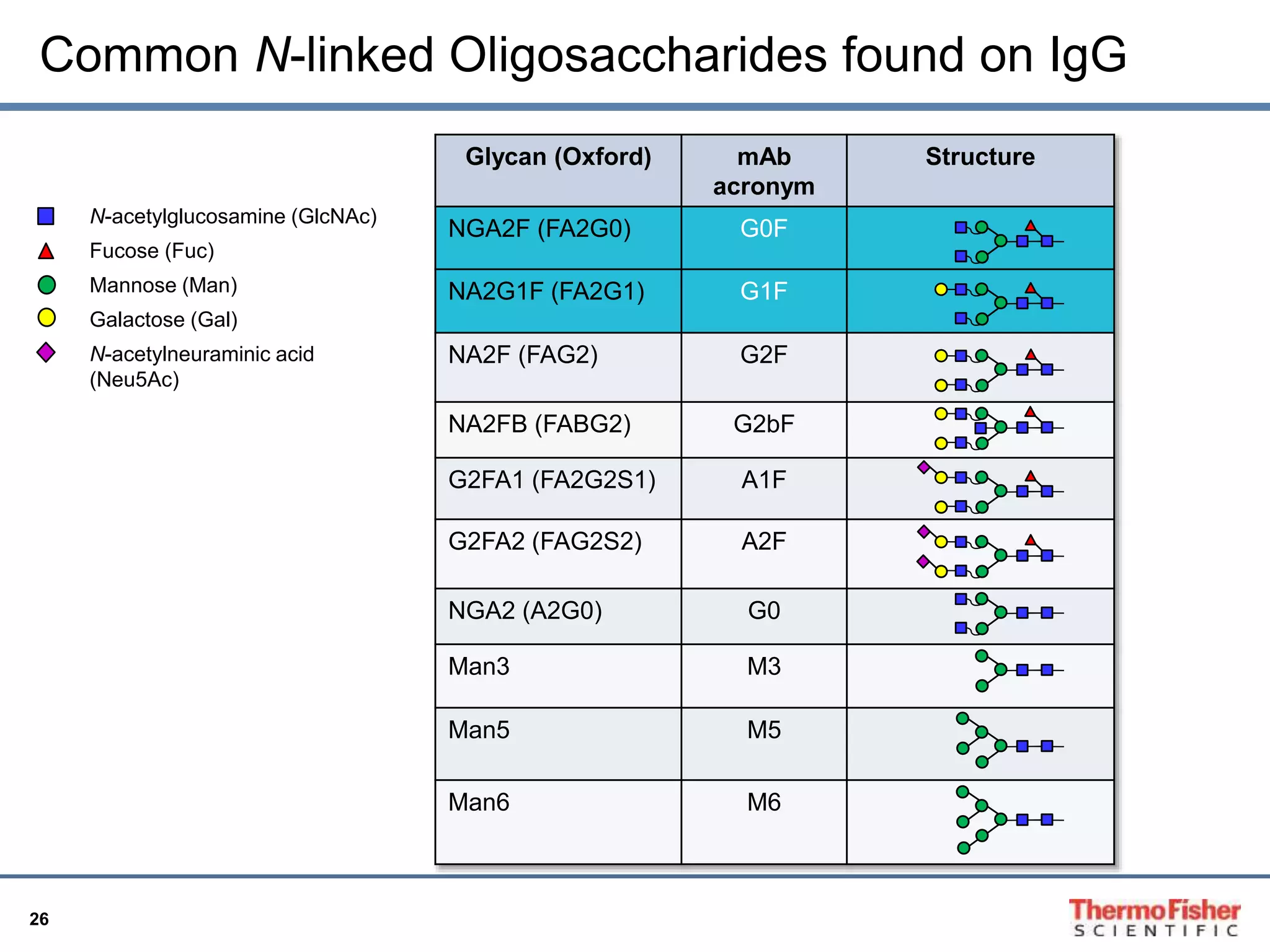 Common N-linked Oligosaccharides found on IgG 
26 
N-acetylglucosamine (GlcNAc) 
Fucose (Fuc) 
Mannose (Man) 
Galactose (Gal) 
N-acetylneuraminic acid 
(Neu5Ac) 
Glycan (Oxford) mAb 
acronym 
Structure 
NGA2F (FA2G0) G0F 
NA2G1F (FA2G1) G1F 
NA2F (FAG2) G2F 
NA2FB (FABG2) G2bF 
G2FA1 (FA2G2S1) A1F 
G2FA2 (FAG2S2) A2F 
NGA2 (A2G0) G0 
Man3 M3 
Man5 M5 
Man6 M6 
 