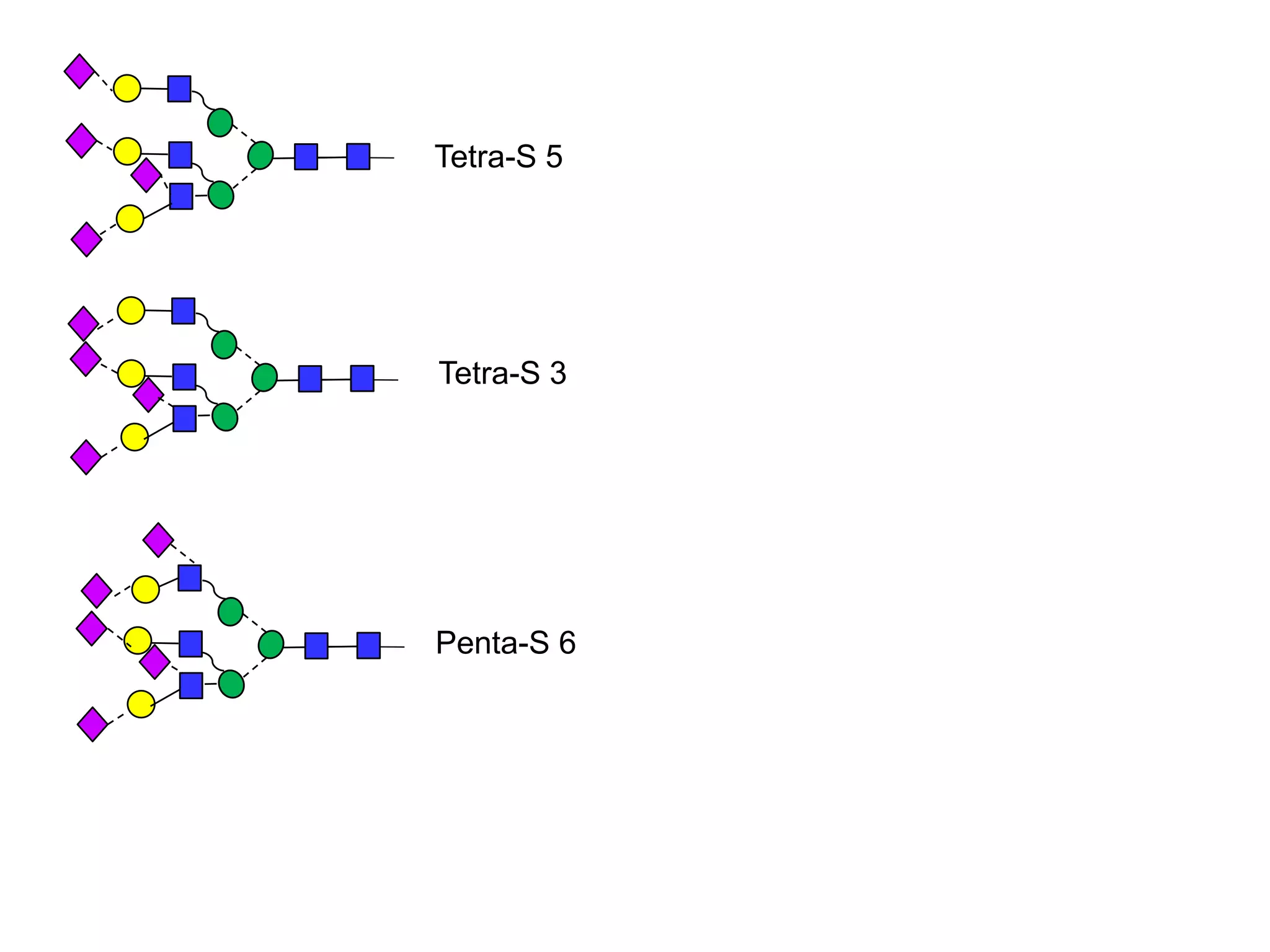Tetra-S 5 
Tetra-S 3 
Penta-S 6 
 