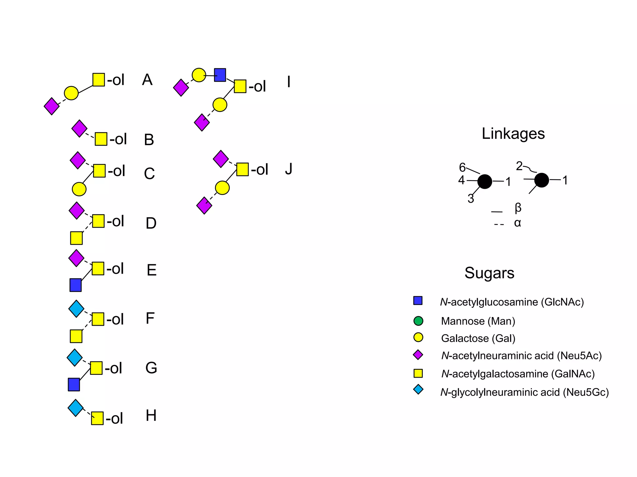 A 
B 
C 
-ol 
-ol 
-ol 
-ol D 
-ol E 
-ol 
Linkages 
6 
4 
3 
1 
β 
N-acetylglucosamine (GlcNAc) 
Mannose (Man) 
Galactose (Gal) 
N-acetylneuraminic acid (Neu5Ac) 
N-acetylgalactosamine (GalNAc) 
N-glycolylneuraminic acid (Neu5Gc) 
F 
-ol G 
-ol H 
-ol 
I 
-ol J 
Sugars 
2 
1 
α 
 