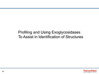 23 
Profiling and Using Exoglycosidases 
To Assist in Identification of Structures 
 