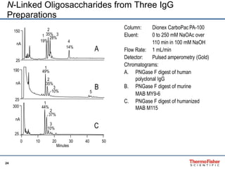 N-Linked Oligosaccharides from Three IgG 
Preparations 
24 
Minutes 
150 
nA 
25 
190 
nA 
25 
35% 
49% 
35% 
10% 
19% 
14% 
28% 
A 
B 
1 
2 
3 
4 
1 
2 
3 
5 
0 10 20 30 40 50 
300 
nA 
25 
44% 
37% 
10% C 
1 
2 
3 
Column: Dionex CarboPac PA-100 
Eluent: 0 to 250 mM NaOAc over 
110 min in 100 mM NaOH 
Flow Rate: 1 mL/min 
Detector: Pulsed amperometry (Gold) 
Chromatograms: 
A. PNGase F digest of human 
polyclonal IgG 
B. PNGase F digest of murine 
MAB MY9-6 
C. PNGase F digest of humanized 
MAB M115 
 