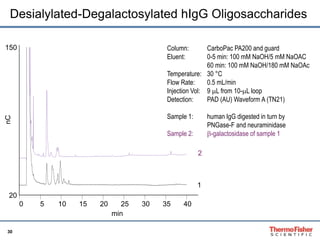 Desialylated-Degalactosylated hIgG Oligosaccharides 
150 
30 
Column: CarboPac PA200 and guard 
Eluent: 0-5 min: 100 mM NaOH/5 mM NaOAC 
60 min: 100 mM NaOH/180 mM NaOAc 
Temperature: 30 °C 
Flow Rate: 0.5 mL/min 
Injection Vol: 9 mL from 10-mL loop 
Detection: PAD (AU) Waveform A (TN21) 
Sample 1: human IgG digested in turn by 
PNGase-F and neuraminidase 
Sample 2: b-galactosidase of sample 1 
0 5 10 15 20 25 30 35 40 
20 
2 
1 
nC 
min 
 