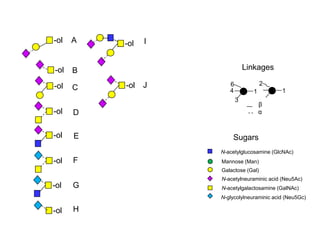 A 
B 
C 
-ol 
-ol 
-ol 
-ol D 
-ol E 
-ol 
Linkages 
6 
4 
3 
1 
β 
N-acetylglucosamine (GlcNAc) 
Mannose (Man) 
Galactose (Gal) 
N-acetylneuraminic acid (Neu5Ac) 
N-acetylgalactosamine (GalNAc) 
N-glycolylneuraminic acid (Neu5Gc) 
F 
-ol G 
-ol H 
-ol 
I 
-ol J 
Sugars 
2 
1 
α 
 