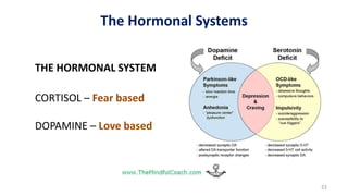 22
THE HORMONAL SYSTEM
CORTISOL – Fear based
DOPAMINE – Love based
The Hormonal Systems
 