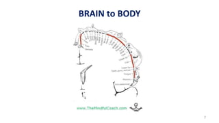 BRAIN to BODY
7
 