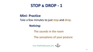 STOP & DROP - 1
Mini- Practice
Take a few minutes to just stop and drop.
Noticing:
The sounds in the room
The sensations of your posture
14
 