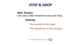 STOP & DROP
Mini- Practice
Lets take a few minutes to stop and drop.
Noticing:
The sounds in the room
The sensations of our posture
2
 