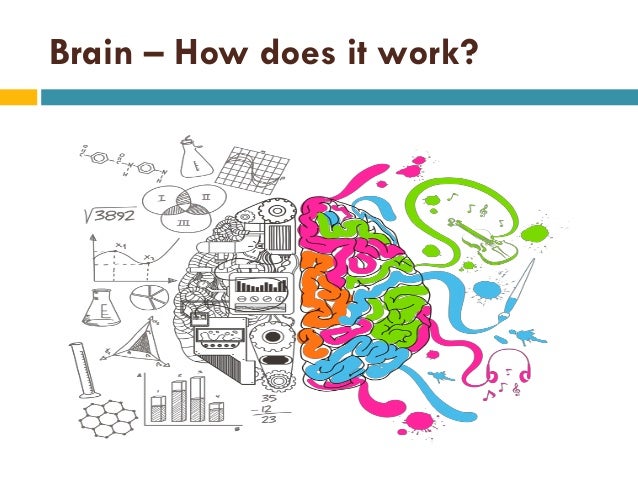5 whys root cause analysis example image