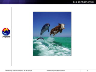 Formação de Auditor Interno ISO 20.000 pela BSI, órgão certificador global da ISO 20.000;