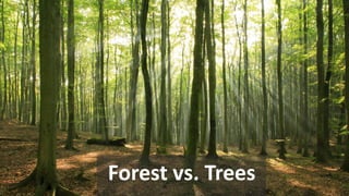 Copyright © 2014, SiteTuners –All Rights Reserved. 
#ABDelusion#CRO @tim_ash 
#ABdelusion 
Forest vs. Trees  