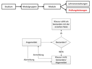 LehrveranstaltungenStudiumModulgruppenModulePrüfungsleistungen