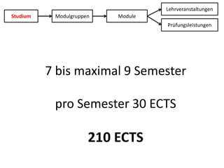 LehrveranstaltungenStudiumModulgruppenModulePrüfungsleistungen7 bis maximal 9 Semesterpro Semester 30 ECTS210 ECTS