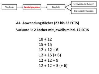 LehrveranstaltungenStudiumModulgruppenModulePrüfungsleistungenA4: Anwendungsfächer (27 bis 33 ECTS)Variante 1: 2 Fächer mit jeweils mind. 12 ECTS18 + 12 15 + 1512 + 12 + 612 + 15 (+ 6)12 + 12 + 912 + 12 + 3 (+ 6)