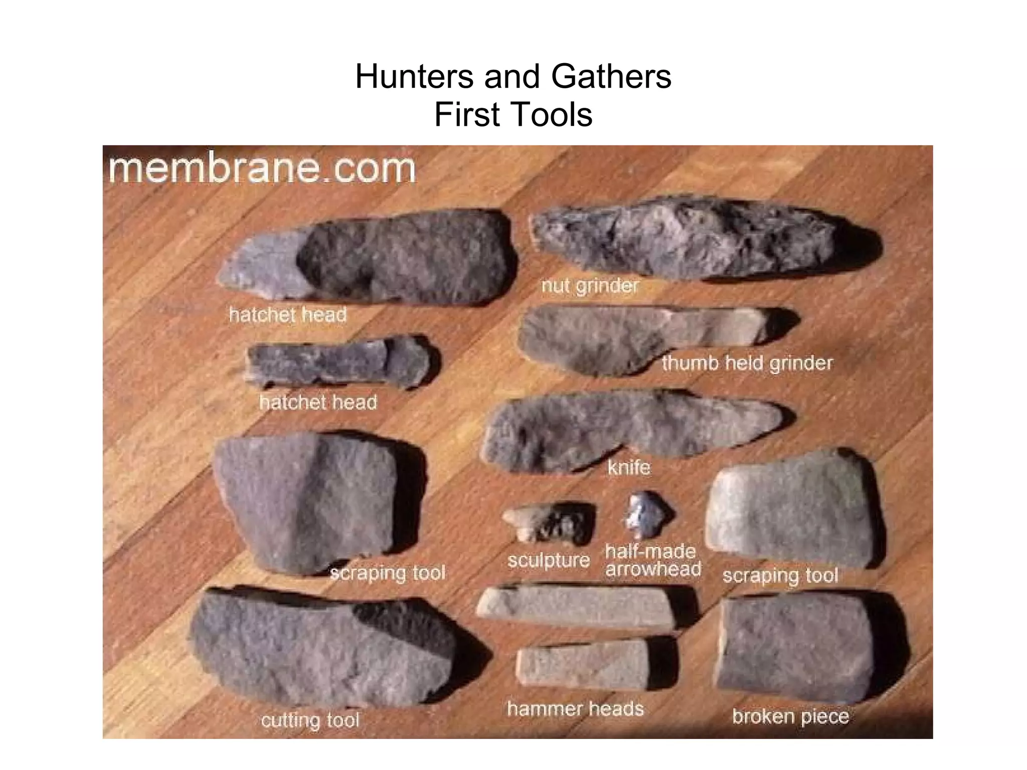 Hunters and Gathers First Tools 