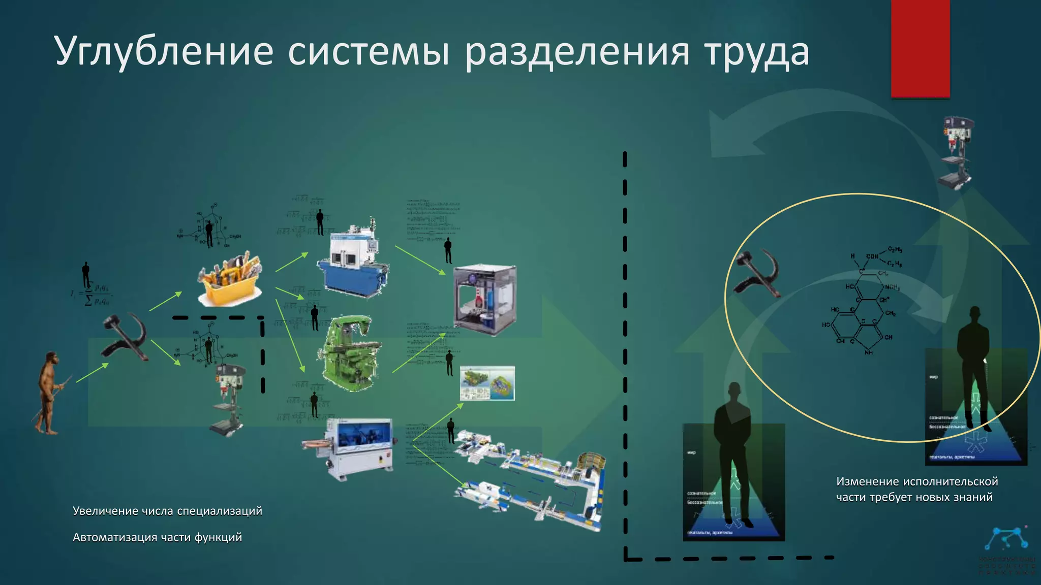 Углубление системы разделения труда
Увеличение числа специализаций
Автоматизация части функций
Изменение исполнительской
части требует новых знаний
 