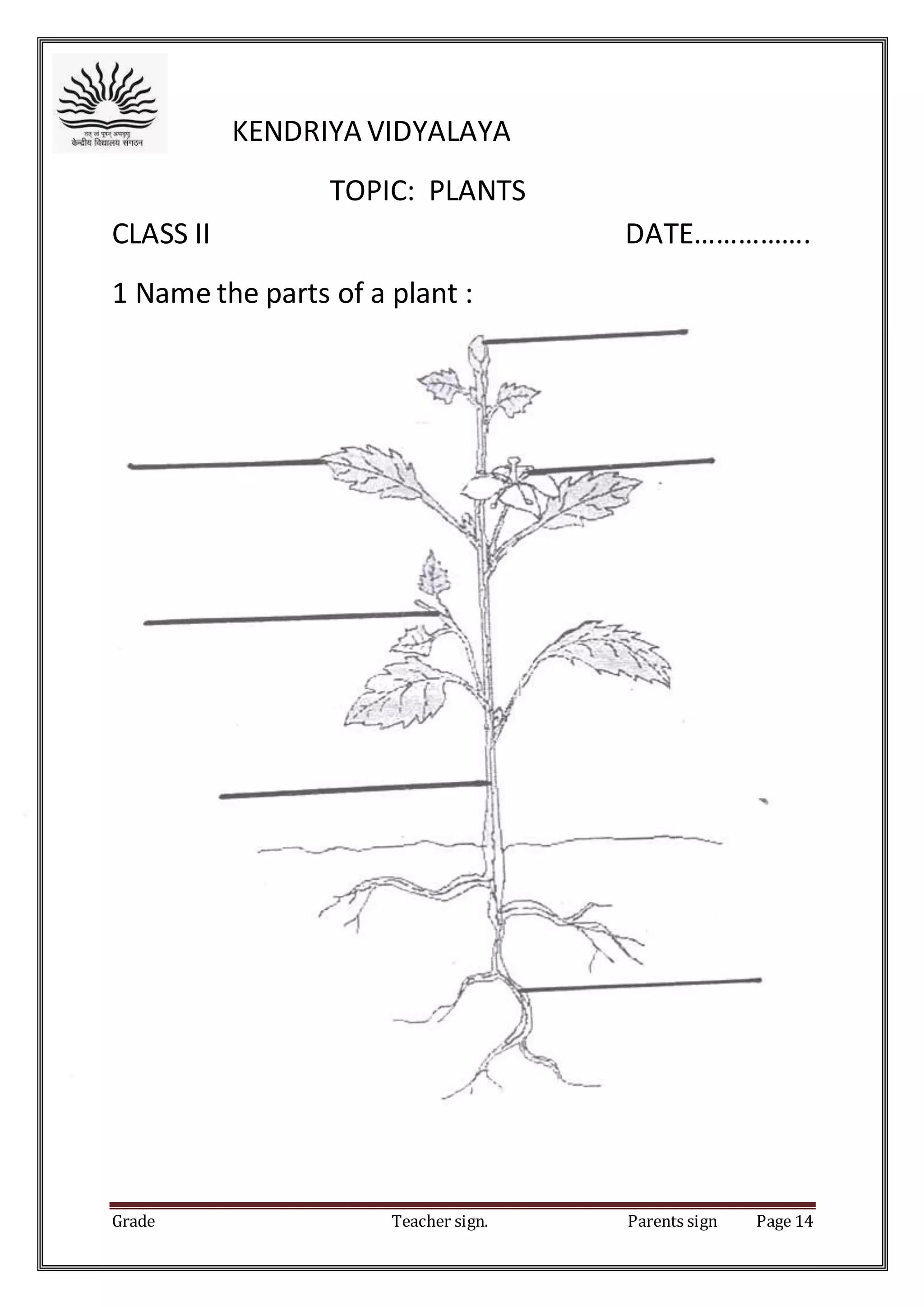 Grade Teacher sign. Parents sign Page 14
KENDRIYA VIDYALAYA
TOPIC: PLANTS
CLASS II DATE…………….
1 Name the parts of a plant :
 
