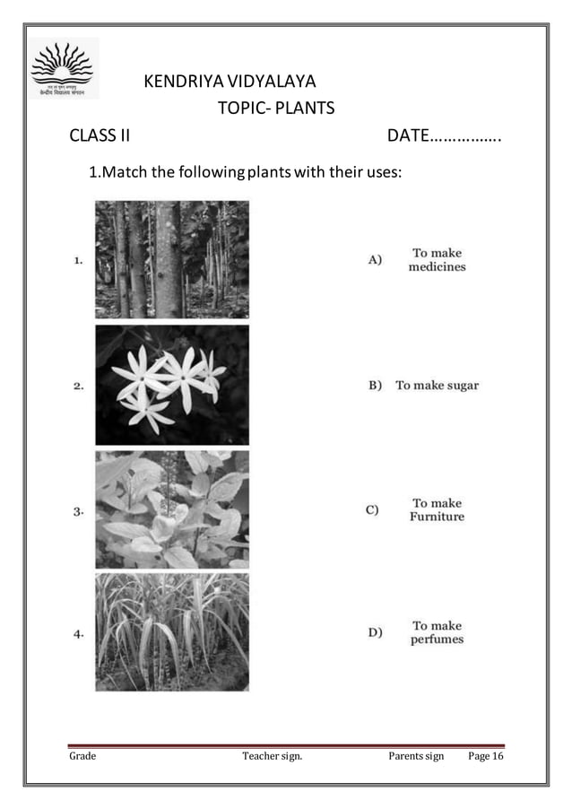 CLASS II EVS WORKSHEETS | PDF