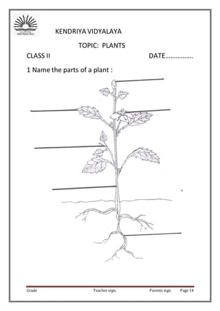 CLASS II EVS WORKSHEETS
