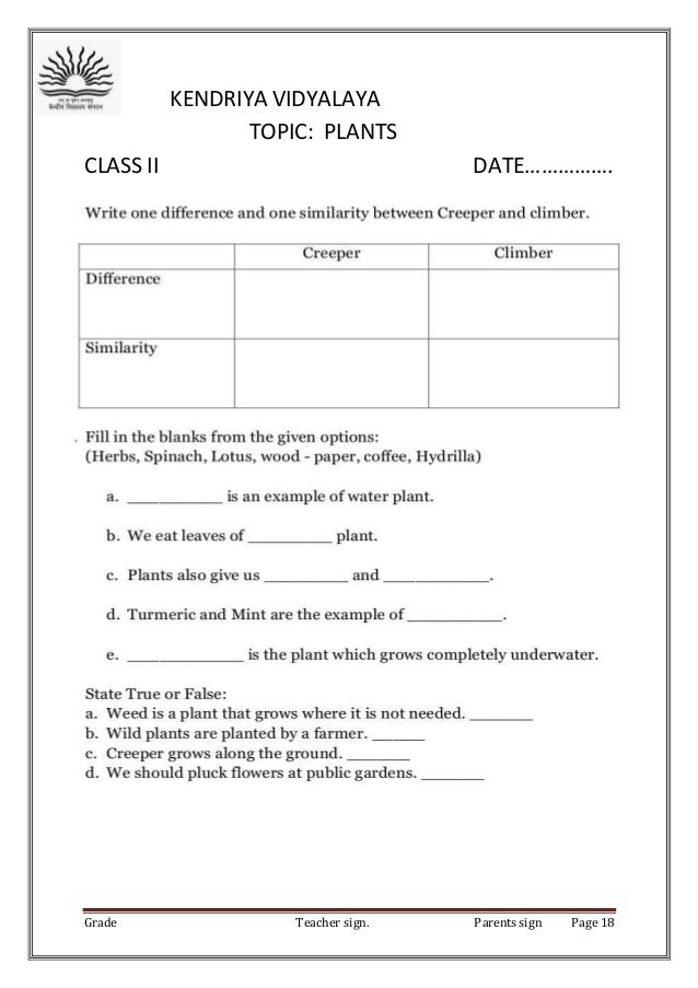 Kv Worksheets For Class 2 English