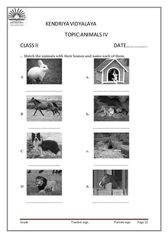 class ii evs worksheets