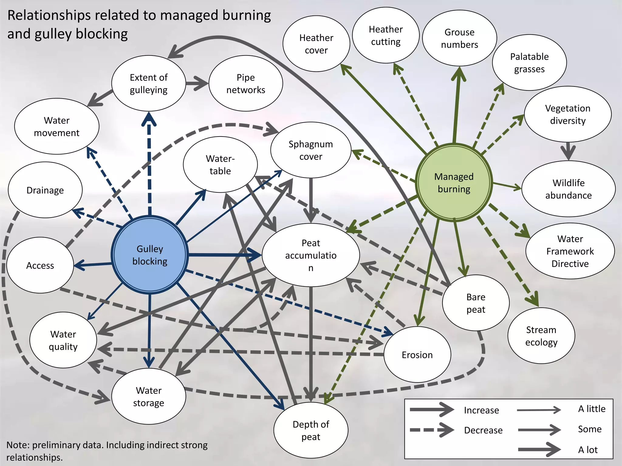Managed
burning
Grouse
numbers
Stream
ecology
Heather
cover
Water
Framework
Directive
Sphagnum
cover
Water
storage
Depth of
peat
Extent of
gulleying
Water-
table
Wildlife
abundance
Peat
accumulatio
n
Water
movement
Palatable
grasses
Vegetation
diversity
Erosion
Gulley
blocking
Water
quality
Bare
peat
Access
Drainage
Increase
Decrease
A little
Some
A lot
Relationships related to managed burning
and gulley blocking
Note: preliminary data. Including indirect strong
relationships.
Heather
cutting
Pipe
networks
 