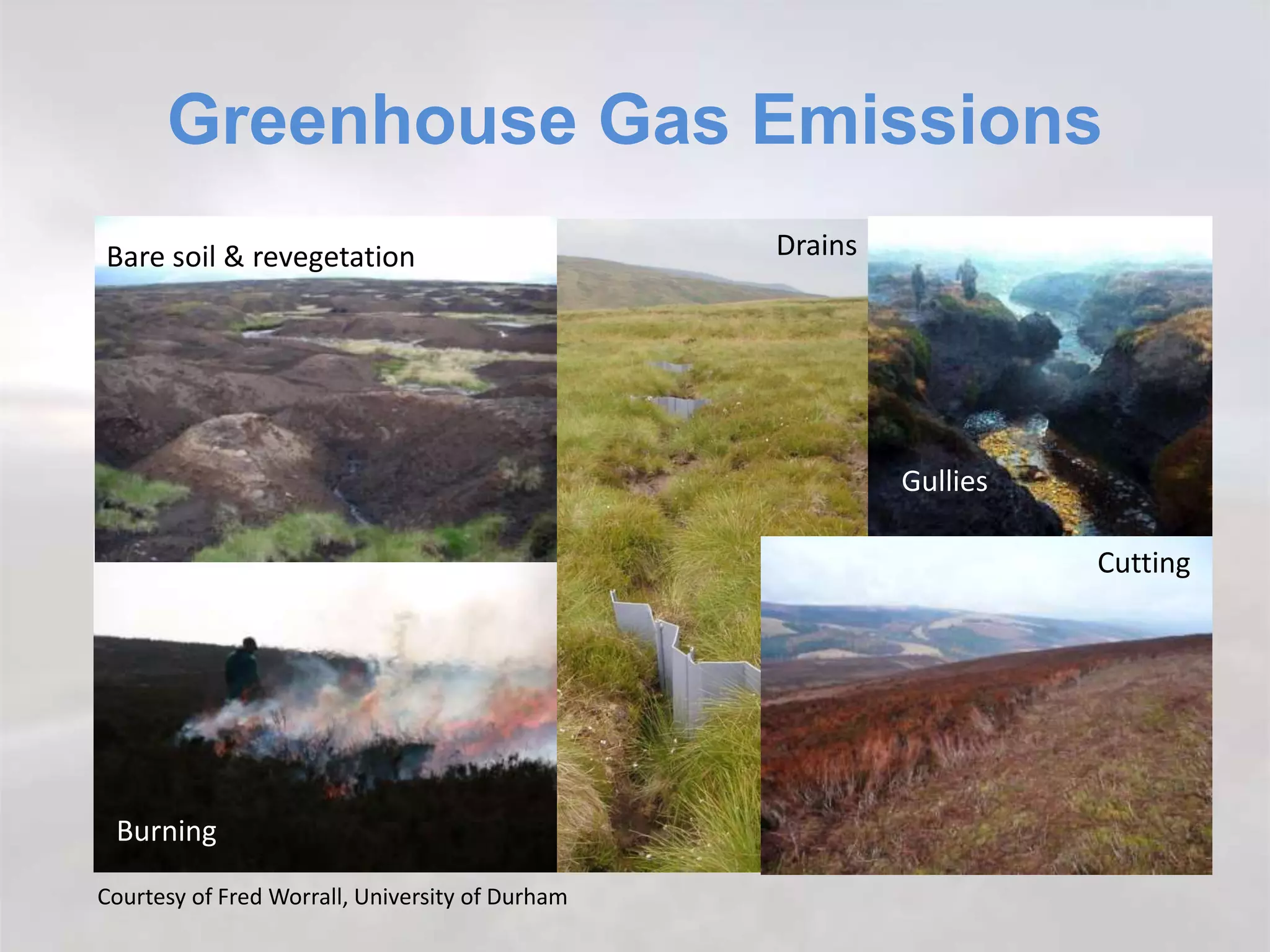 Burning
Greenhouse Gas Emissions
Bare soil & revegetation Drains
Cutting
Gullies
Courtesy of Fred Worrall, University of Durham
 
