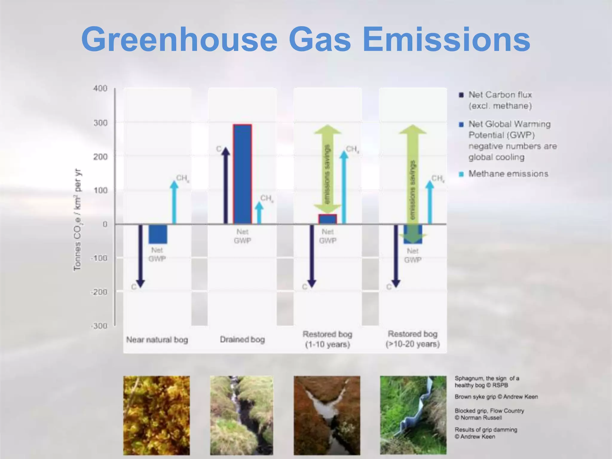 Greenhouse Gas Emissions
 