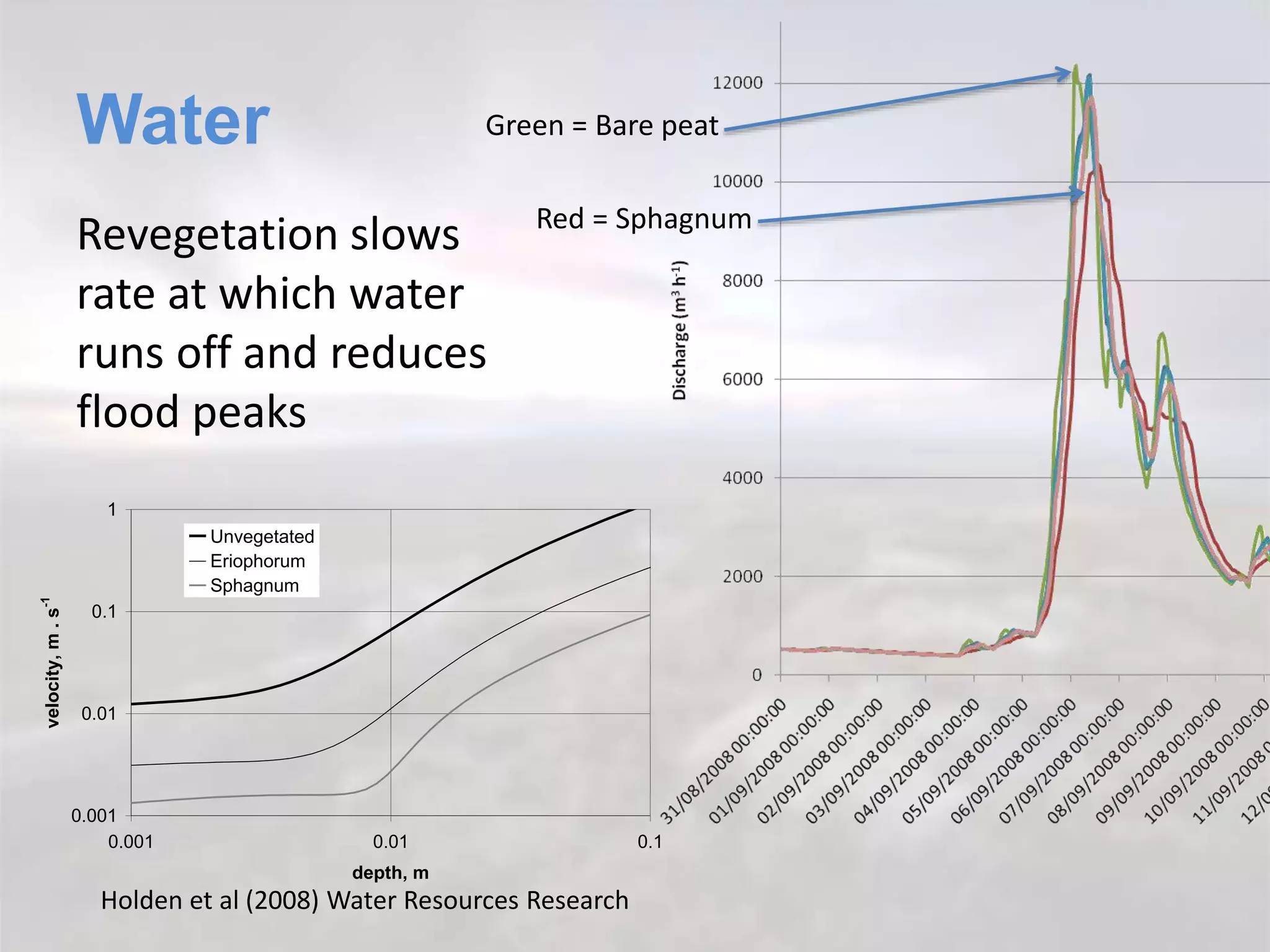 Water
Revegetation slows
rate at which water
runs off and reduces
flood peaks
0.001
0.01
0.1
1
0.001 0.01 0.1
depth, m
velocity,m.s-1
Unvegetated
Eriophorum
Sphagnum
Holden et al (2008) Water Resources Research
Green = Bare peat
Red = Sphagnum
 
