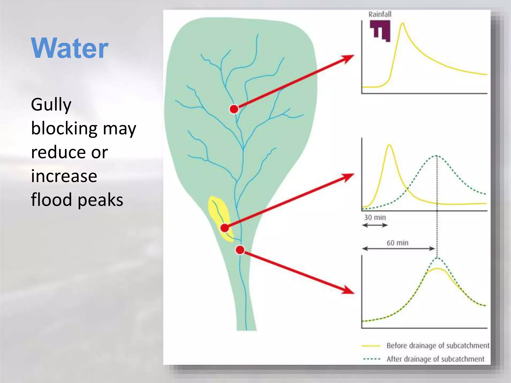 Water
Gully
blocking may
reduce or
increase
flood peaks
 