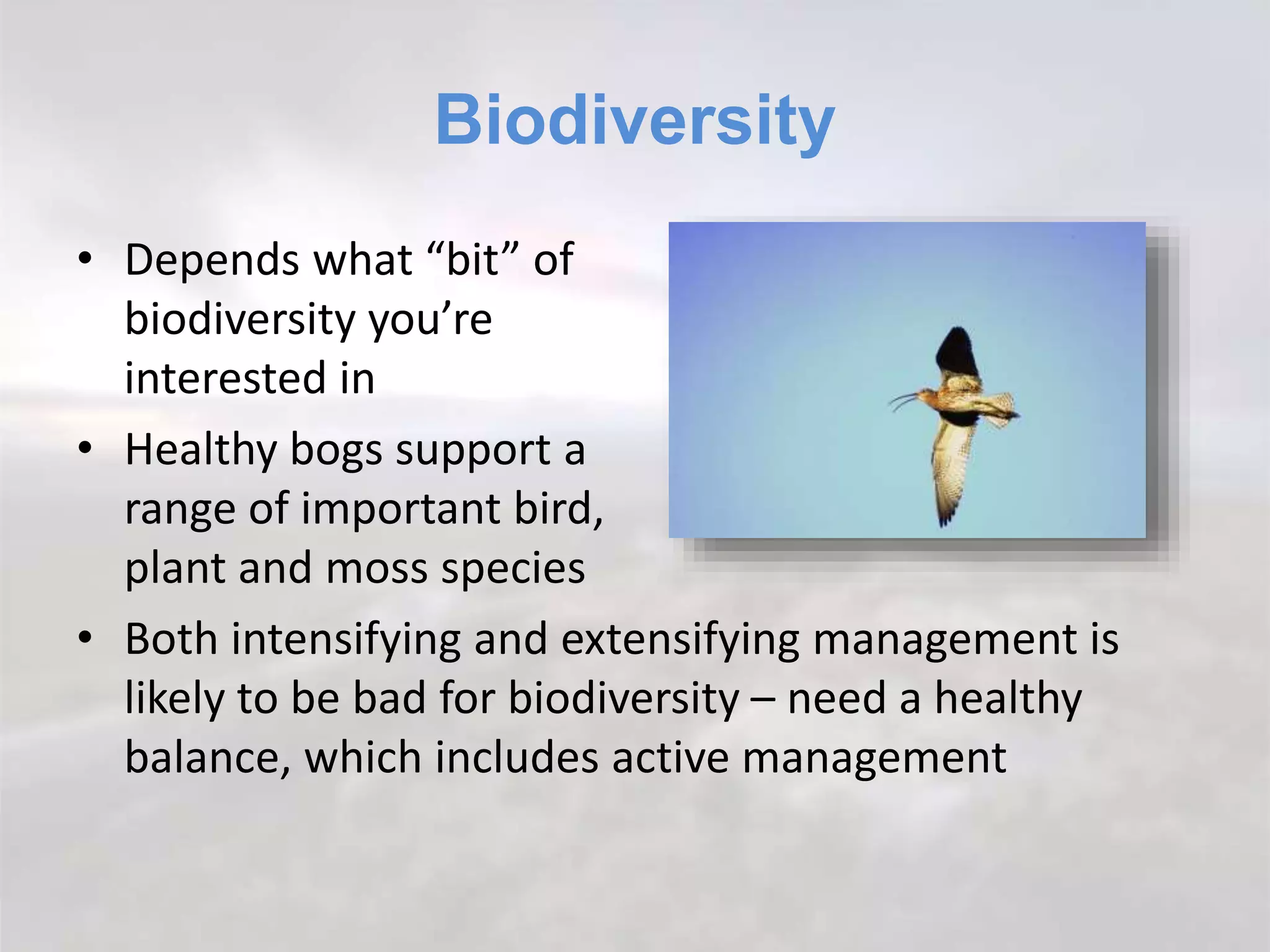 Biodiversity
• Depends what “bit” of
biodiversity you’re
interested in
• Healthy bogs support a
range of important bird,
plant and moss species
• Both intensifying and extensifying management is
likely to be bad for biodiversity – need a healthy
balance, which includes active management
 