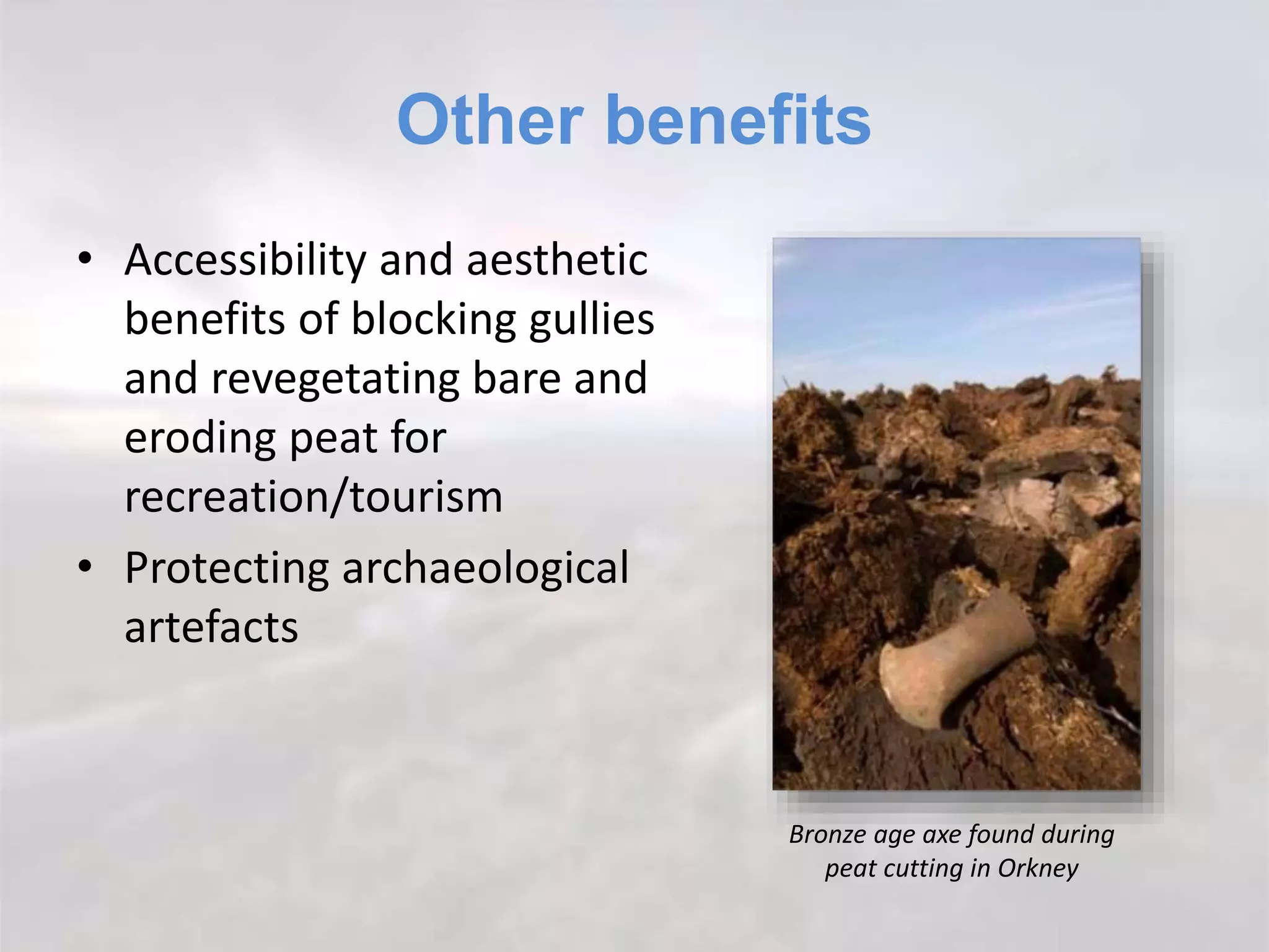 Other benefits
• Accessibility and aesthetic
benefits of blocking gullies
and revegetating bare and
eroding peat for
recreation/tourism
• Protecting archaeological
artefacts
Bronze age axe found during
peat cutting in Orkney
 