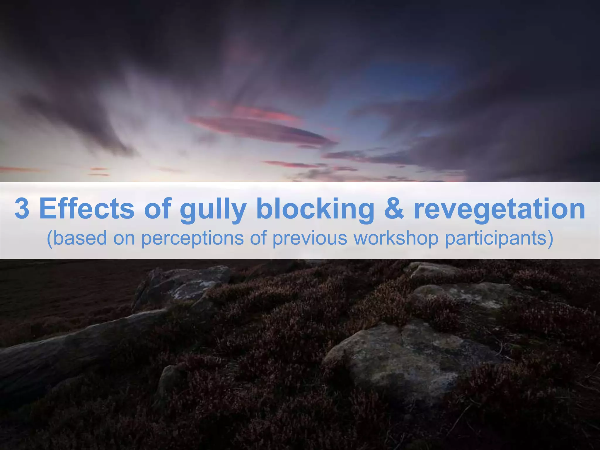 3 Effects of gully blocking & revegetation
(based on perceptions of previous workshop participants)
 
