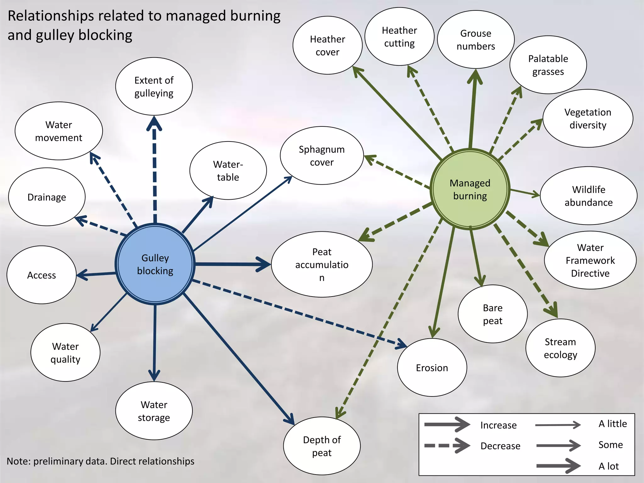 Managed
burning
Grouse
numbers
Stream
ecology
Heather
cover
Water
Framework
Directive
Sphagnum
cover
Water
storage
Depth of
peat
Extent of
gulleying
Water-
table
Wildlife
abundance
Peat
accumulatio
n
Water
movement
Palatable
grasses
Vegetation
diversity
Erosion
Gulley
blocking
Water
quality
Bare
peat
Access
Drainage
Increase
Decrease
A little
Some
A lot
Relationships related to managed burning
and gulley blocking
Note: preliminary data. Direct relationships
Heather
cutting
 