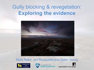 Gully blocking & revegetation:
Exploring the evidence
Mark Reed, Jim Rouquette and Dylan Young
 