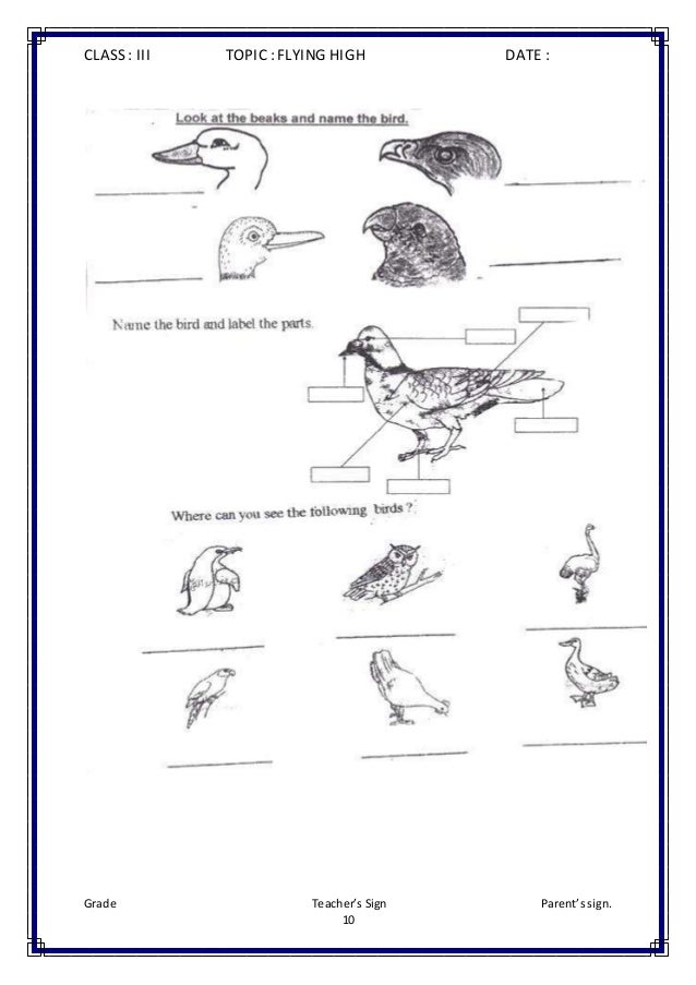 class iii evs worksheets