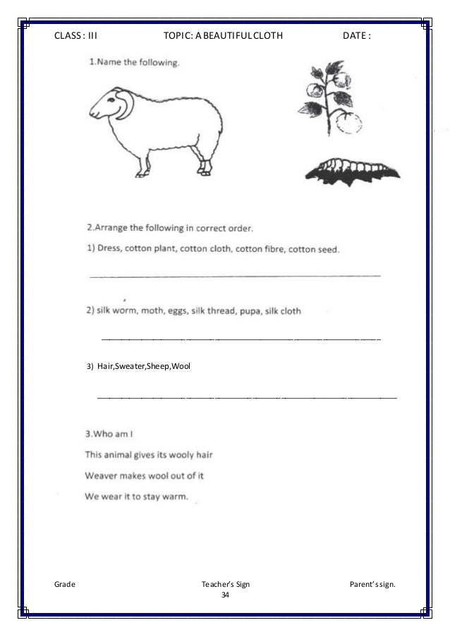 class iii evs worksheets
