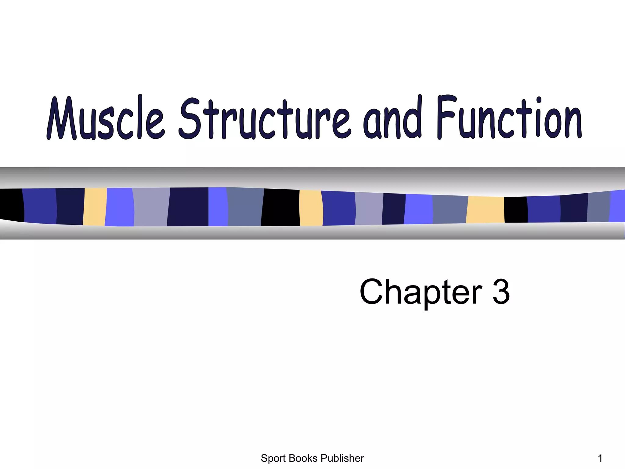 muscle structure_and_function | PPT | Biological Sciences | Science
