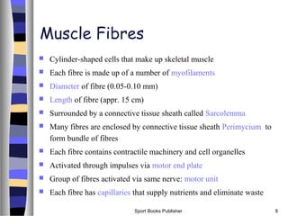 Sport Books Publisher 8
Muscle Fibres
 Cylinder-shaped cells that make up skeletal muscle
 Each fibre is made up of a number of myofilaments
 Diameter of fibre (0.05-0.10 mm)
 Length of fibre (appr. 15 cm)
 Surrounded by a connective tissue sheath called Sarcolemma
 Many fibres are enclosed by connective tissue sheath Perimycium to
form bundle of fibres
 Each fibre contains contractile machinery and cell organelles
 Activated through impulses via motor end plate
 Group of fibres activated via same nerve: motor unit
 Each fibre has capillaries that supply nutrients and eliminate waste
 