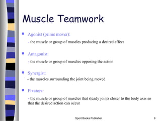 Sport Books Publisher 9
Muscle Teamwork
 Agonist (prime mover):
- the muscle or group of muscles producing a desired effect
 Antagonist:
- the muscle or group of muscles opposing the action
 Synergist:
- the muscles surrounding the joint being moved
 Fixators:
- the muscle or group of muscles that steady joints closer to the body axis so
that the desired action can occur
 