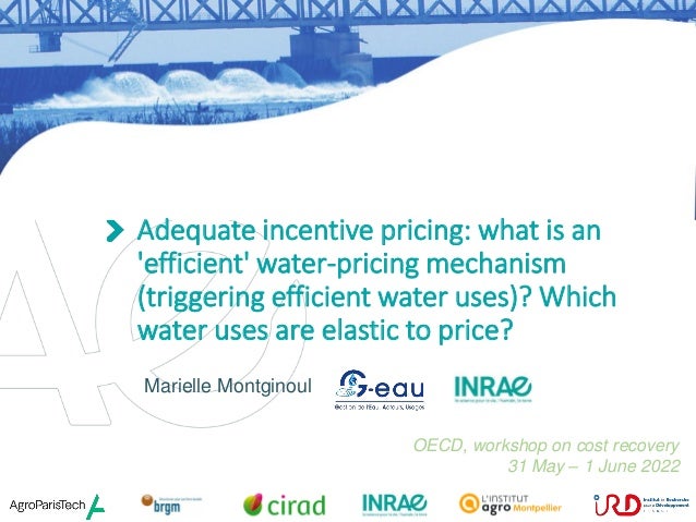 p. 1
Adequate incentive pricing: what is an 'efficient' water-pricing mechanism? Which water uses are elastic to price?
OECD, Cost recovery workshop, 31 May – 1 June 2022
Adequate incentive pricing: what is an
'efficient' water-pricing mechanism
(triggering efficient water uses)? Which
water uses are elastic to price?
Marielle Montginoul
OECD, workshop on cost recovery
31 May – 1 June 2022
 