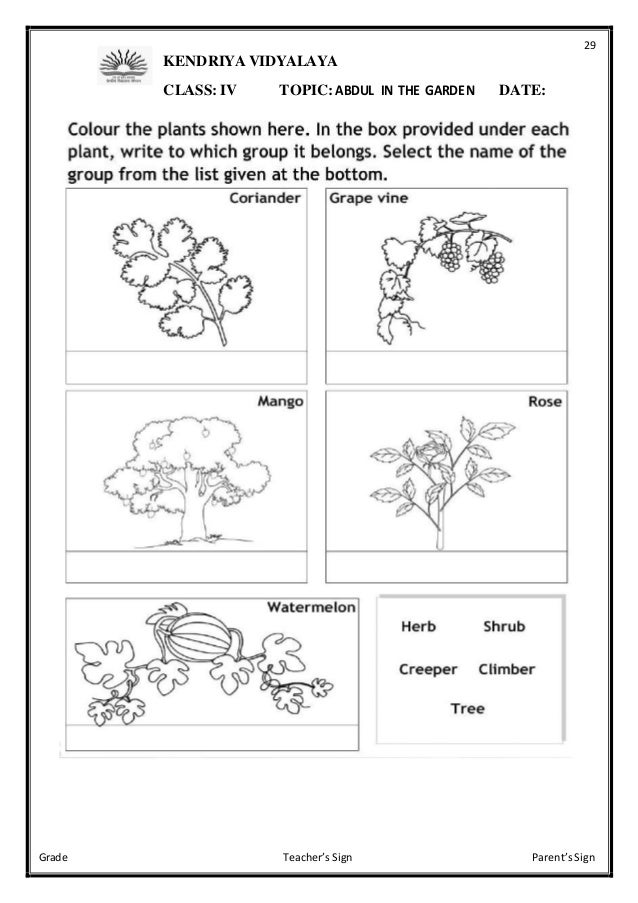 class iv evs worksheets