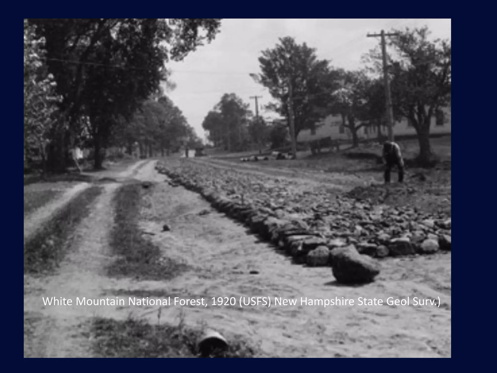 White Mountain National Forest, 1920 (USFS) New Hampshire State Geol Surv.)
 